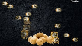 Crash of Beetle - Screenshot 3