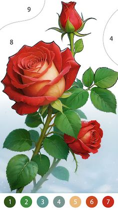 Blossom Color: Winter Glow - Screenshot 1