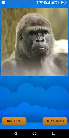 Schiebe-Puzzle Tiere - Screenshot 3