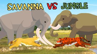 Lion Fights Tiger - Screenshot 2