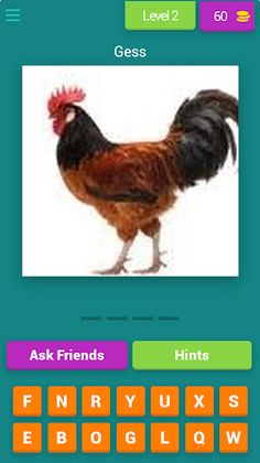 Birds Quiz - Screenshot 2