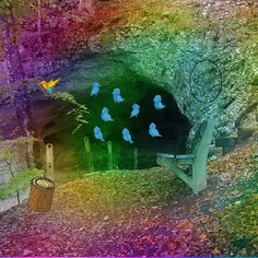 Escape From Birds Forest - Screenshot 1