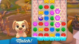 Dogs Home - Screenshot 1