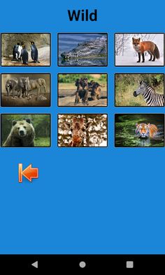 Sound_Game - Screenshot 3