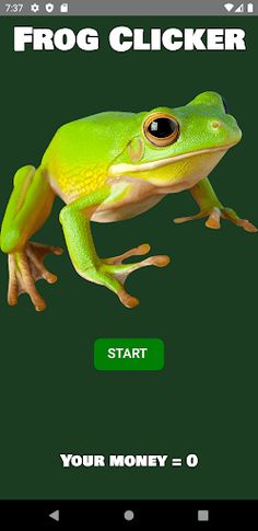 Frog Businnes - Screenshot 1