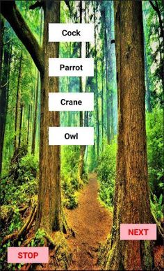 Bingo - Screenshot 2