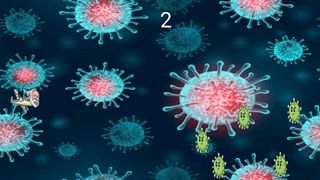 Namovid - Screenshot 2