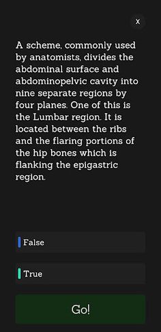Trivia Q - Screenshot 3