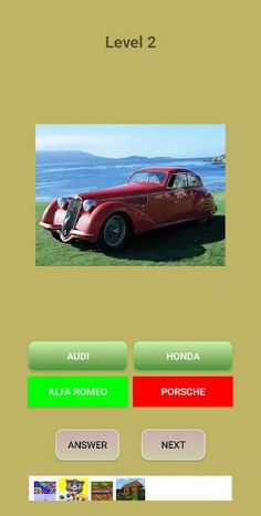Guess Cars - Screenshot 3
