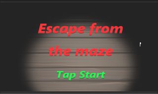 Escape from The Maze - Screenshot 1