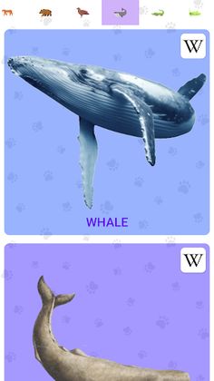 Animal Sounds - Screenshot 3