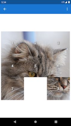 15 Photo Puzzle - Screenshot 4