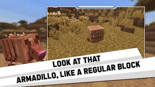 Armadillo Addons for MCPE - Screenshot 1