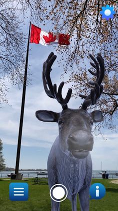 Planet Ice AR - Screenshot 4