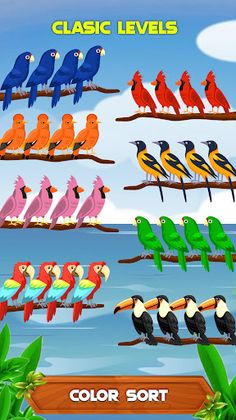 Bird Sorting: Color Puzzle - Screenshot 3