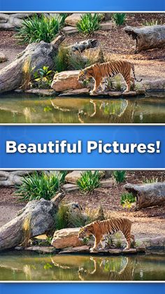 Find The Difference - Screenshot 3