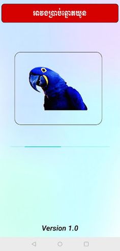 អាវងប្រាប់ឆ្នោតយួន - Screenshot 1