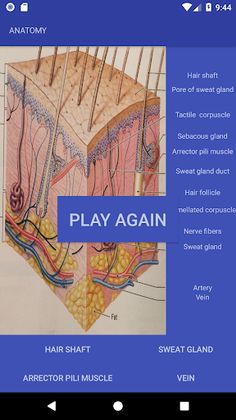 Anatomy Quiz - Screenshot 1