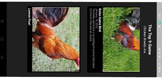 Talpak - Screenshot 2