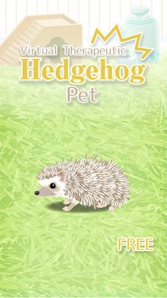 Hedgehog Pet - Screenshot 1