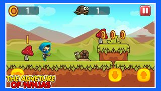 The Adventures of Ninja - Screenshot 1