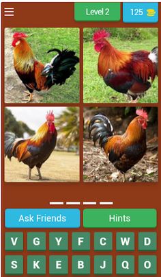 Birds Quiz - Screenshot 3