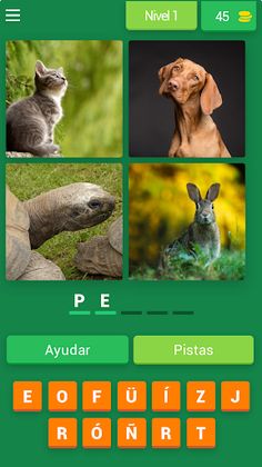 4 Fotos 1 Animal - Screenshot 4