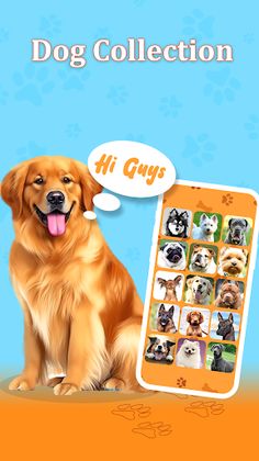 Dog Training Whistle Sounds - Screenshot 4