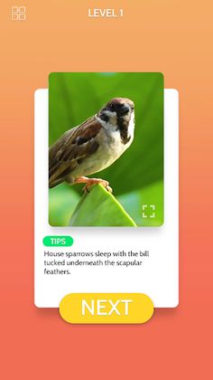 DazzlePuzzle - Screenshot 2