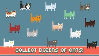 Infinite Meow - Screenshot 3