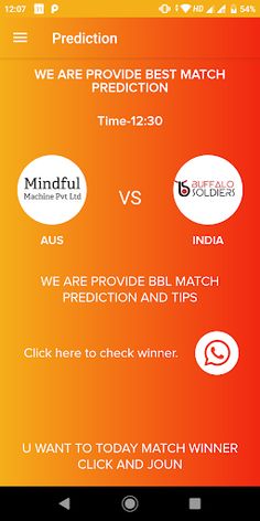 Cricket Prediction - Screenshot 1