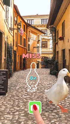 Running Goose - Screenshot 4