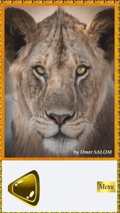 Jigsaw - Screenshot 2