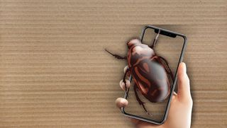 Bug in  box simulator - Screenshot 2