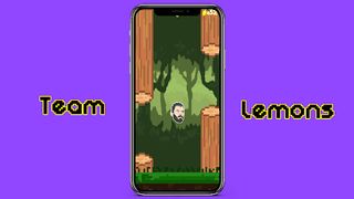 Team Lemons - Screenshot 2