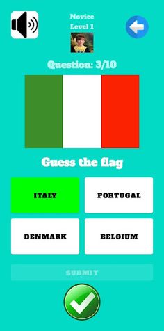 Guess The Flag - Screenshot 1