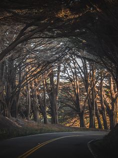 Serene valley - Screenshot 3