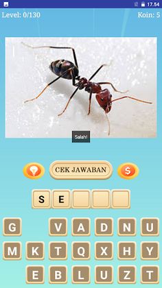 Tebak Gambar Nama Hewan - Screenshot 2