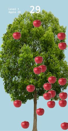 Popping Apple - 사과 터트리기 - Screenshot 1