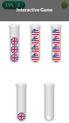 Sorting Flags Puzzle - Screenshot 4