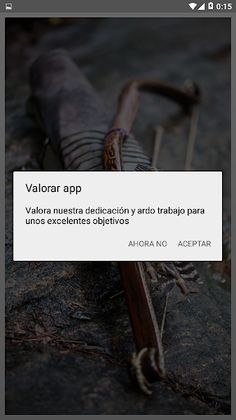 ARQUEROS - Screenshot 2
