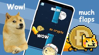 Flappy Dogecoin - Screenshot 1