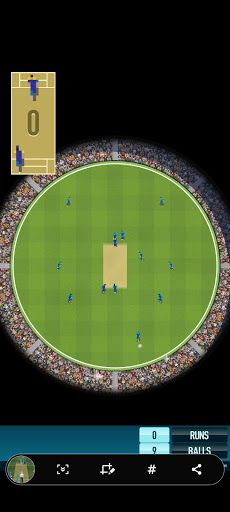 Pro Cricket powered by F4A - Screenshot 4