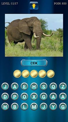 Tebak Hewan - Screenshot 1