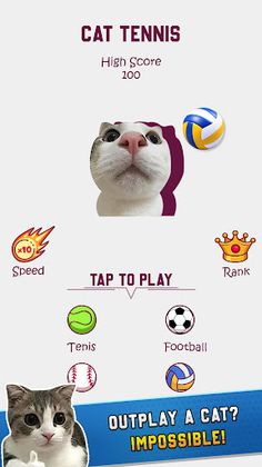 Cat Tennis Master - Screenshot 3