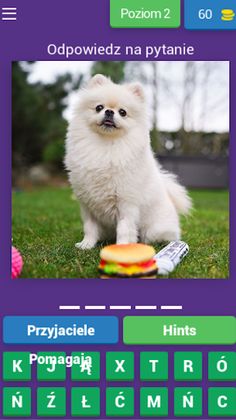 Wersow i Friz Quiz - Screenshot 1
