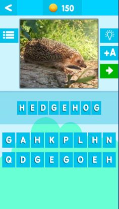 Guess the Animal Quiz - Screenshot 3