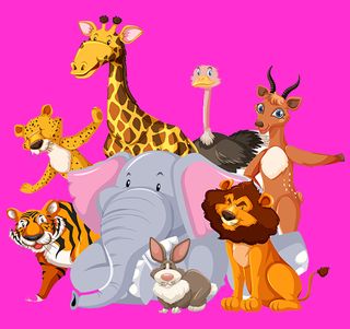 Animal Kingdom Puzzle - Screenshot 1