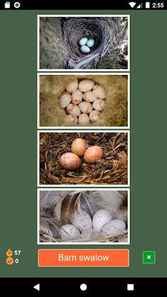 Who I am? - Screenshot 4