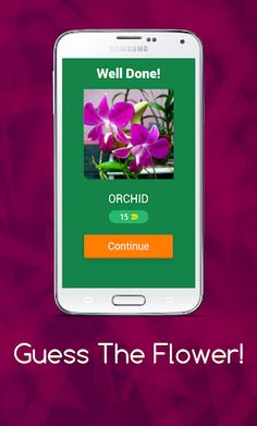 Guess The Flower! - Screenshot 3